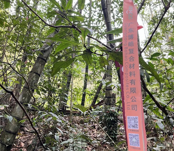 凝心聚力再出發，風雨同舟赴星溪！--廣東博皓2024龍年首登星溪之旅     -2
